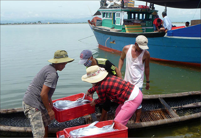 Một chuyến biển gần bờ của ngư dân Vinh Thanh